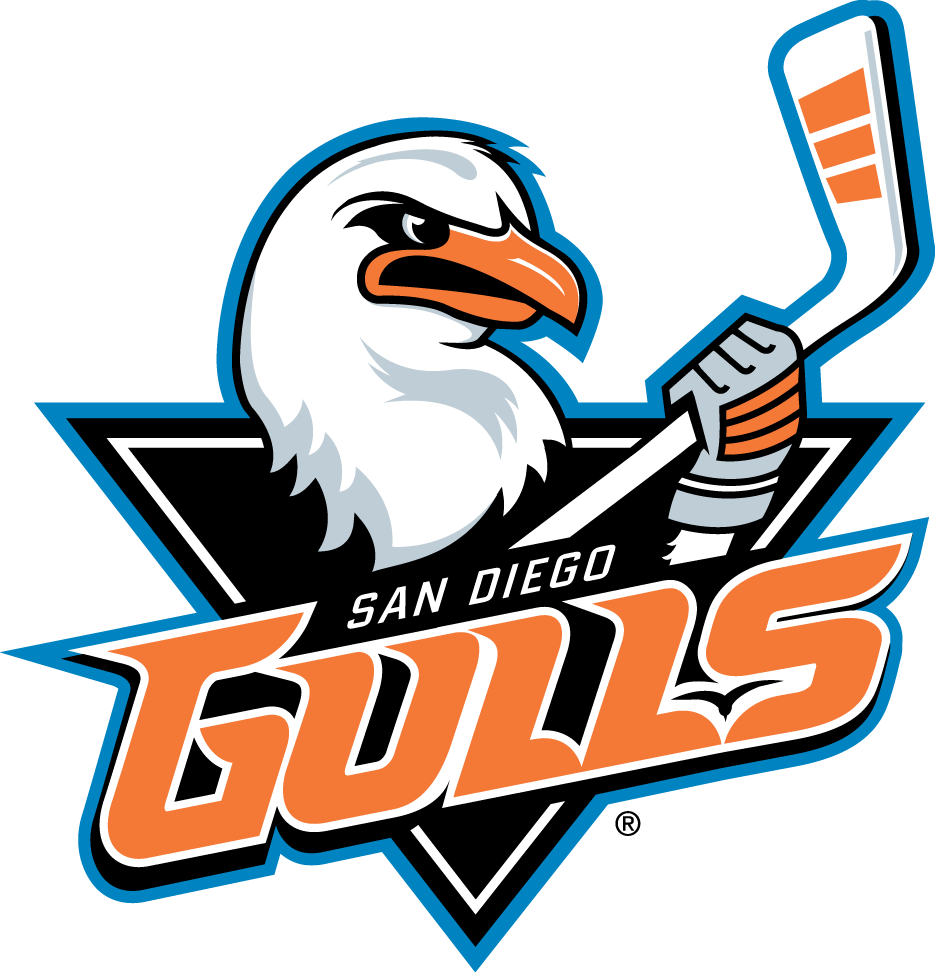 San Diego Gulls iron ons